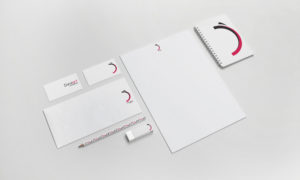brand identity danzart