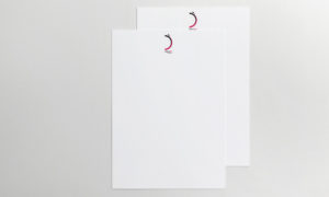 brand identity danzart