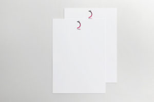 brand identity danzart